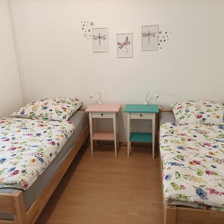 Grosse Ferienwohnung Am Waldrand Schonau  Exterior photo